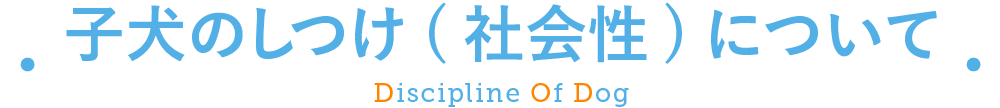 子犬のしつけ(社会性)について
